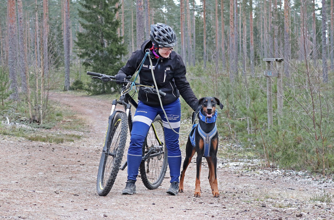 Koirapyöräilyn 6 vinkkiä