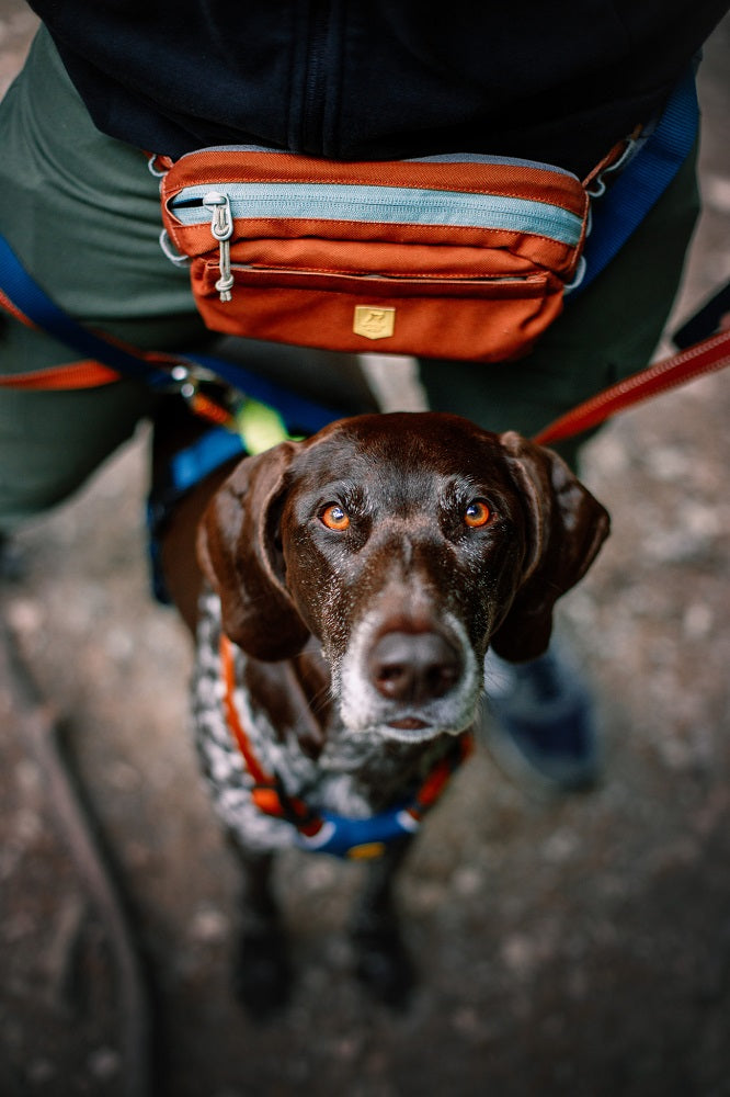 Woolly Wolf Alpha 360 Hip Pack Terracotta