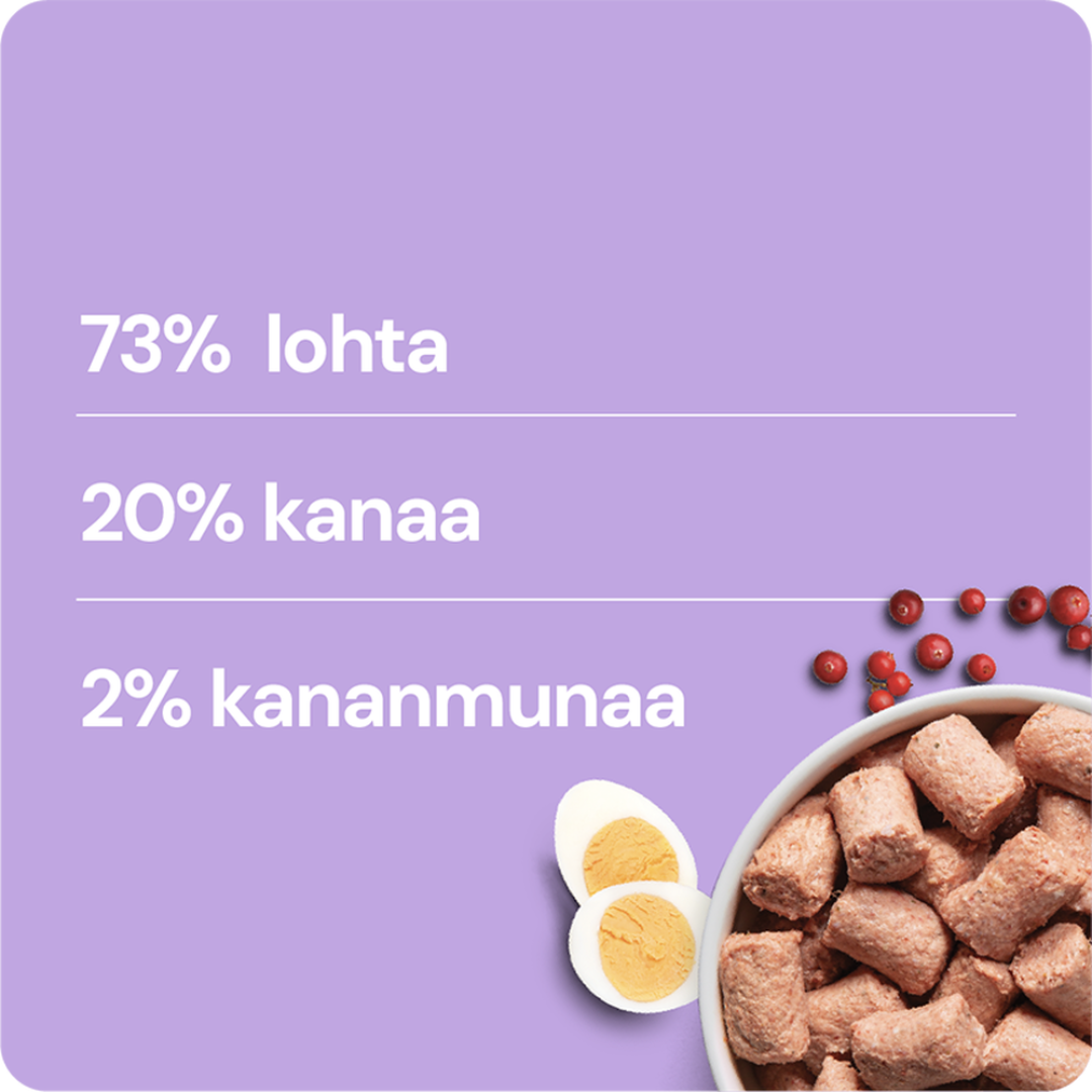 Nutriment by RAUH! Kana-Lohi 1 kg kissa