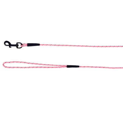 Flamingo Training Leash Puppy pentutalutin 5 m, pinkki