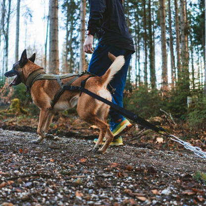 Non-stop dogwear Pulling attachment WD lisävaruste taakanvetoon