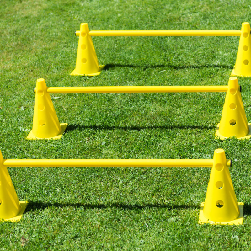 Procyon Cones hurdle hyppyeste 2-laatu