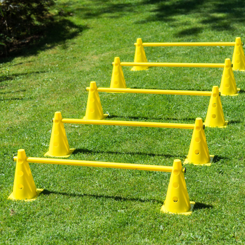 Procyon Cones hurdle hyppyeste 2-laatu