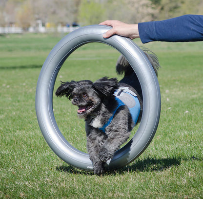 FitPAWS Donut Holder ilmarengas