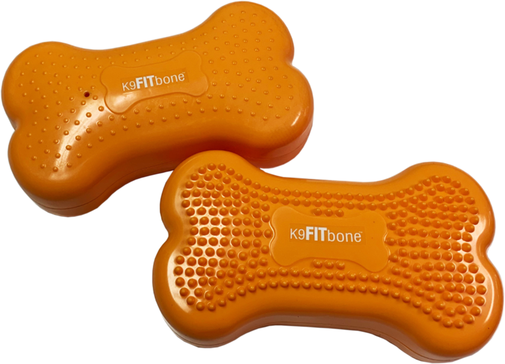 FitPAWS Mini K9FITbones koiran tasapainoalusta 2 kpl, mango