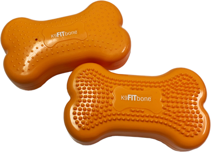 FitPAWS Mini K9FITbones koiran tasapainoalusta 2 kpl, mango