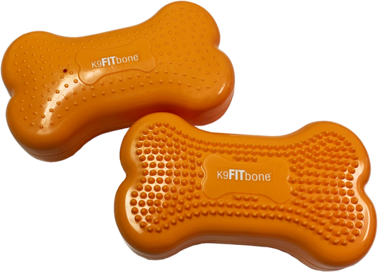 FitPAWS Mini K9FITbones koiran tasapainoalusta 2 kpl, mango