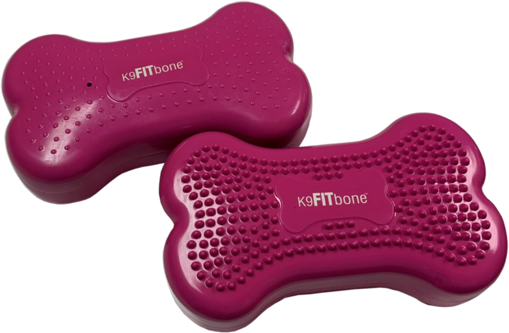 FitPAWS Mini K9FITbones koiran tasapainoalusta 2 kpl, pinkki