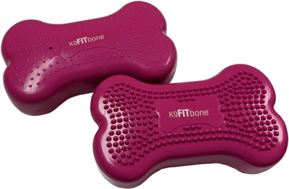 FitPAWS Mini K9FITbones koiran tasapainoalusta 2 kpl, pinkki