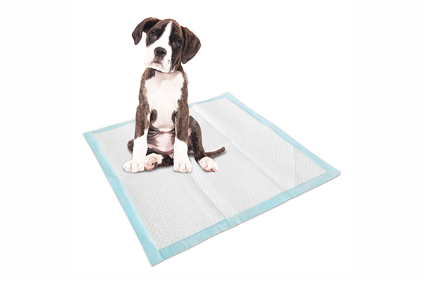 Freedog Super Absorbent suoja-alusta 60 x 60 cm