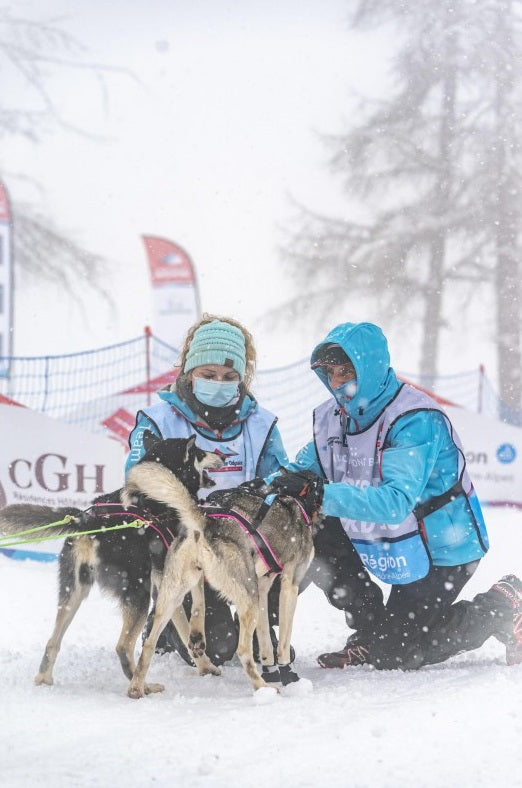 Inlandsis Polar Quest koiran vetovaljaat, pinkki-musta