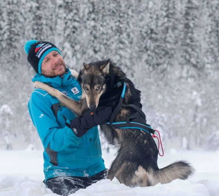 Inlandsis Polar Quest koiran vetovaljaat, pinkki-musta