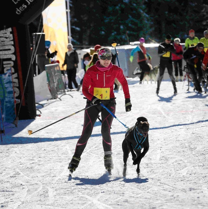 Inlandsis Polar Quest koiran vetovaljaat, pinkki-musta