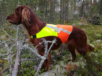 Kardog Ruska koiran huomioliivi