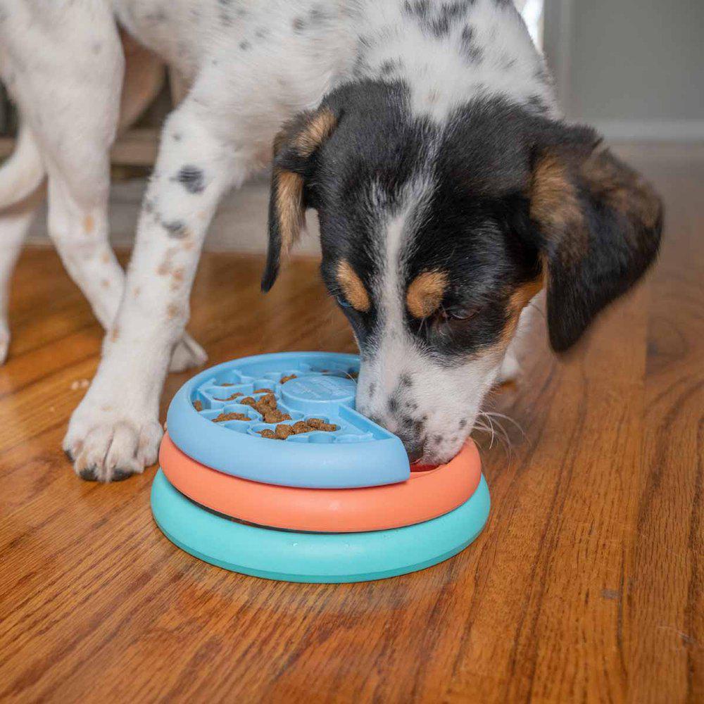 Nina Ottosson Oh Puppy Lickin Layers