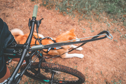 Non-Stop dogwear Bike Antenna KlickFix vetoadapteri