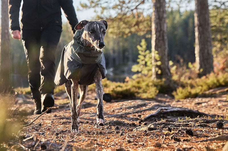 Non-stop dogwear Glacier Wool 2.0 koiran takki, vihreä