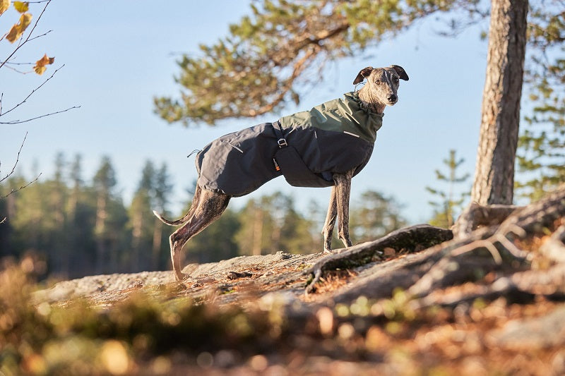 Non-stop dogwear Glacier Wool 2.0 koiran takki, vihreä