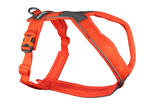 Non-stop dogwear Line Harness 5.0 koiran valjaat, oranssi