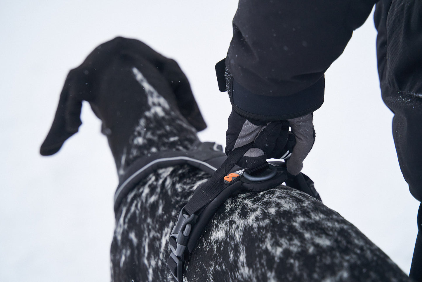 Non-stop dogwear Line Harness Grip valjaat kahvalla