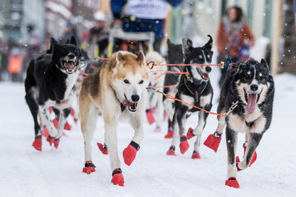 Non-Stop dogwear Long Distance Booties