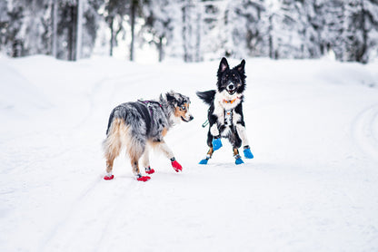 Non-Stop dogwear Long Distance Booties