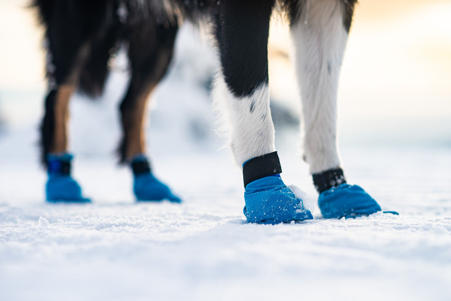 Non-Stop dogwear Long Distance Booties