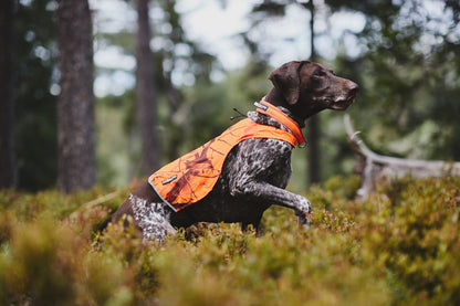 Non-stop dogwear Protector Camo, koiran huomioliivi