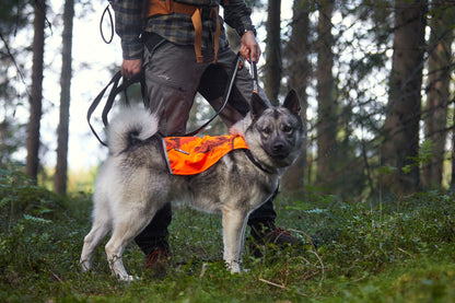 Non-stop dogwear Protector Camo, koiran huomioliivi