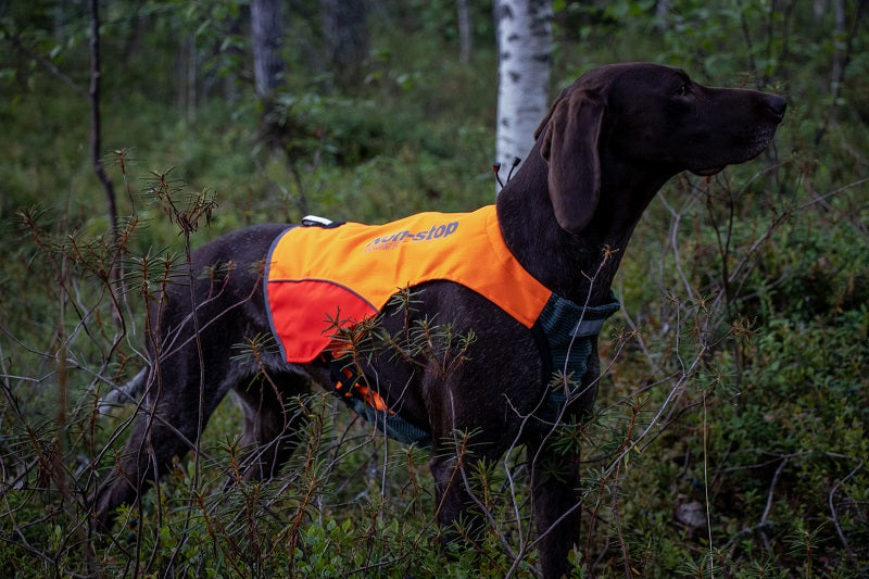 Non-stop dogwear Protector vest metsästysliivi koiralle