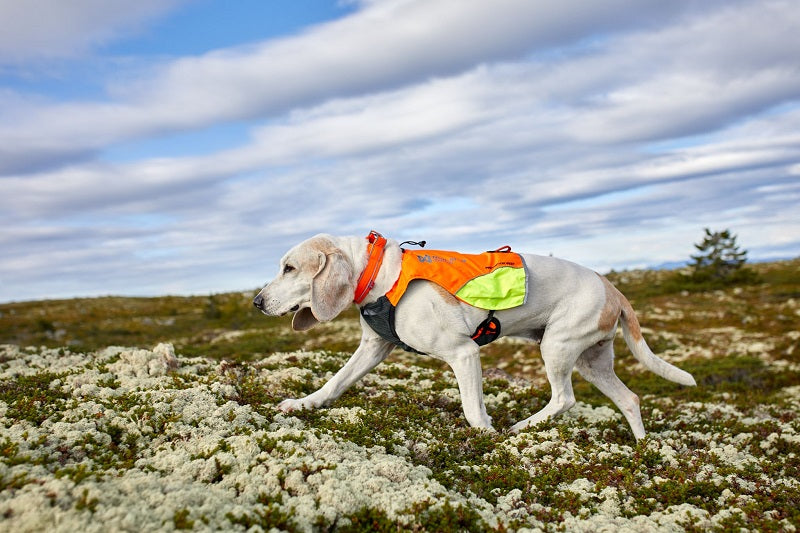 Non-stop dogwear Protector vest metsästysliivi koiralle