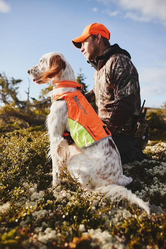 Non-stop dogwear Protector vest metsästysliivi koiralle