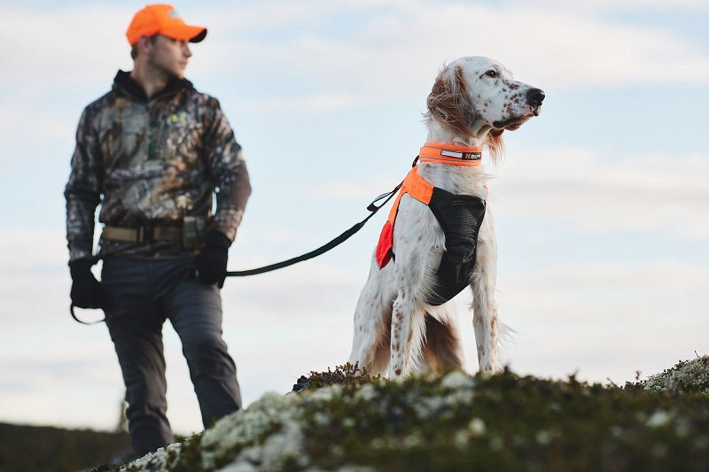 Non-stop dogwear Protector vest metsästysliivi koiralle