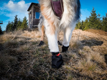 Non-stop dogwear Solid socks 4 kpl