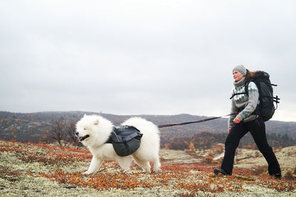 Non-stop dogwear Touring bungee säädettävä talutin