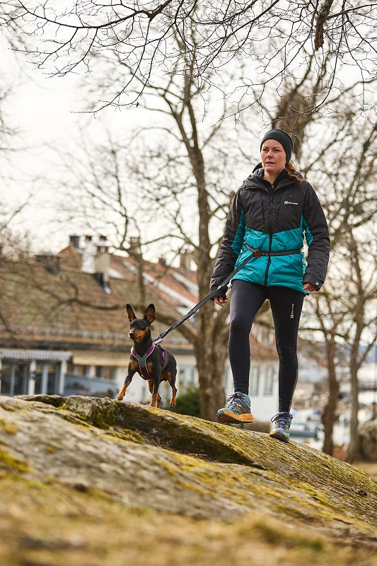 Non-stop dogwear Touring bungee säädettävä talutin