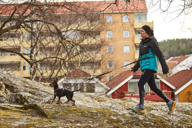 Non-stop dogwear Touring bungee säädettävä talutin