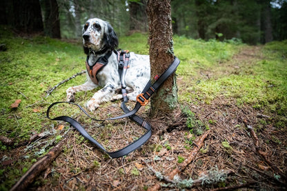 Non-stop dogwear Touring bungee säädettävä talutin