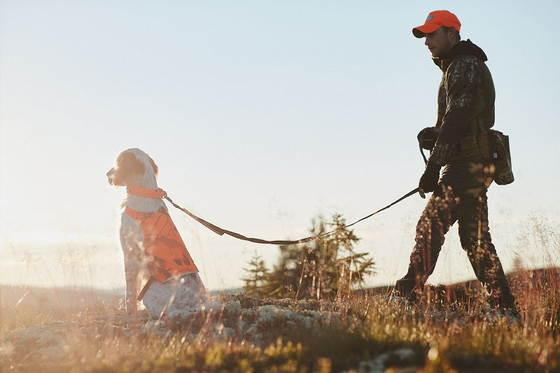 Non-stop dogwear Touring bungee säädettävä talutin