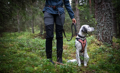 Non-stop dogwear Touring bungee säädettävä talutin