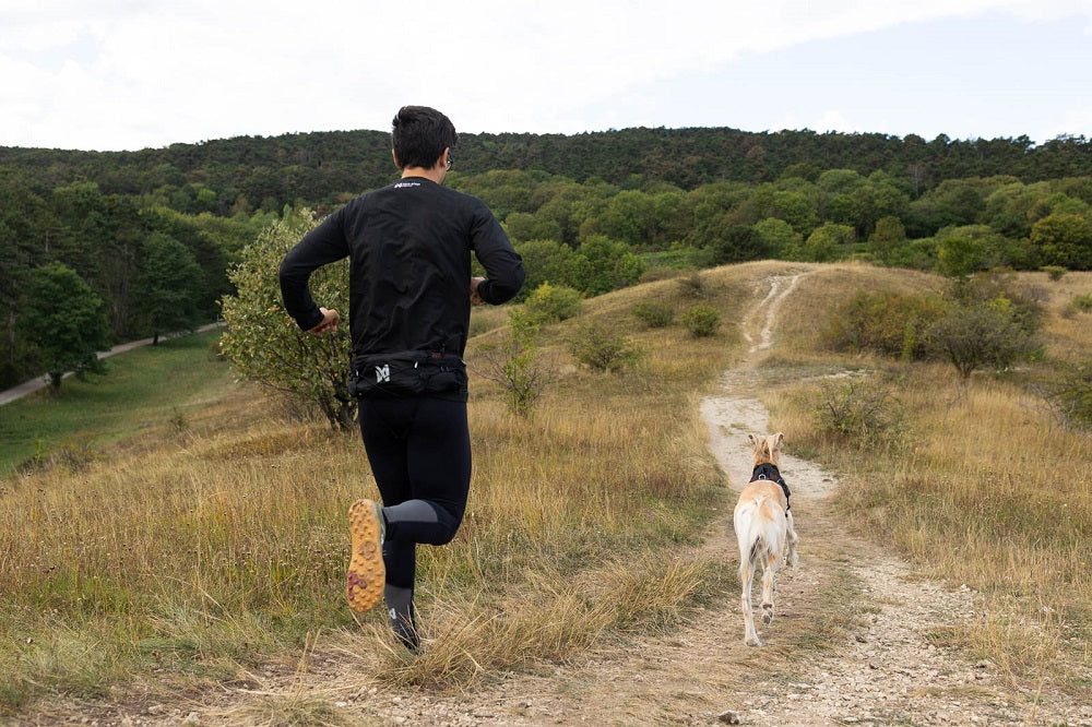 Non-stop dogwear Trail light belt vetovyö