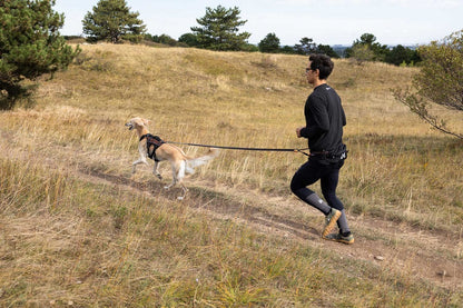 Non-stop dogwear Trail light belt vetovyö