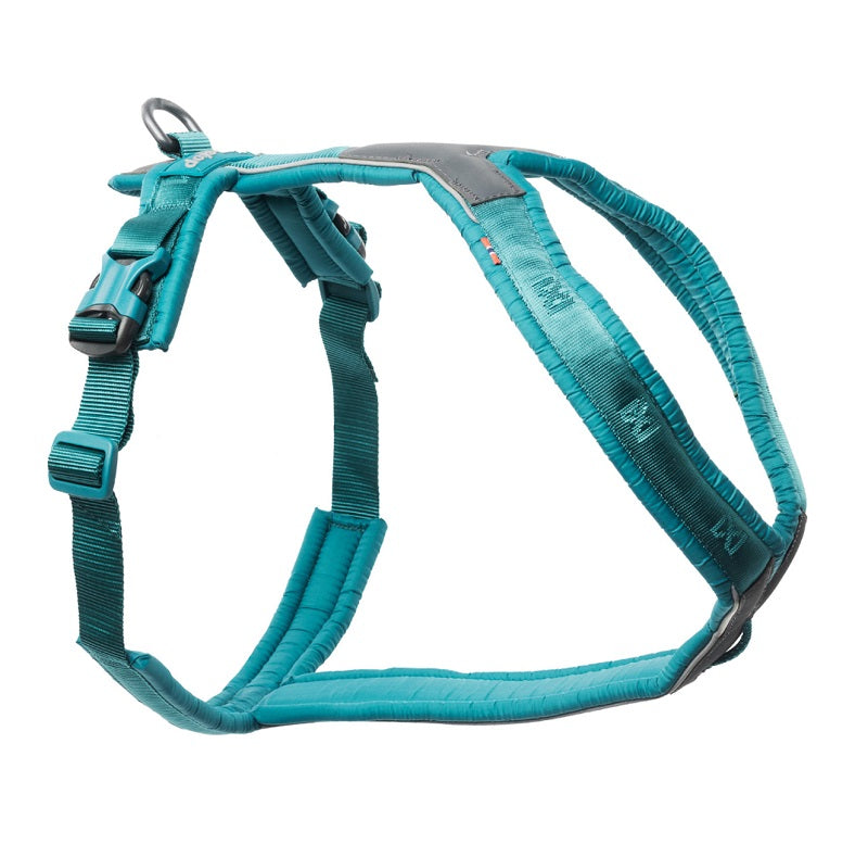 Non-stop Line Harness 5.0 koiran valjaat, teal