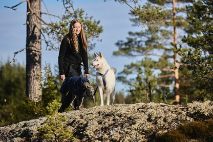 Non-stop Line Harness 5.0 koiran valjaat, vihreä