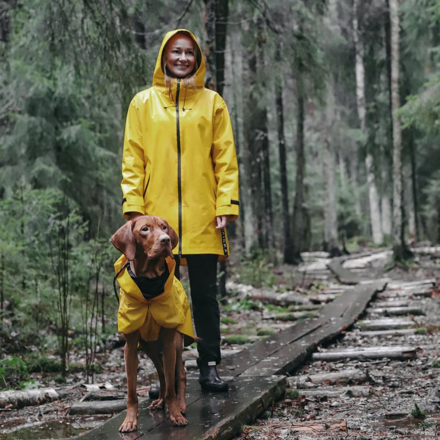 PAIKKA Heijastava koiran sadetakki, keltainen