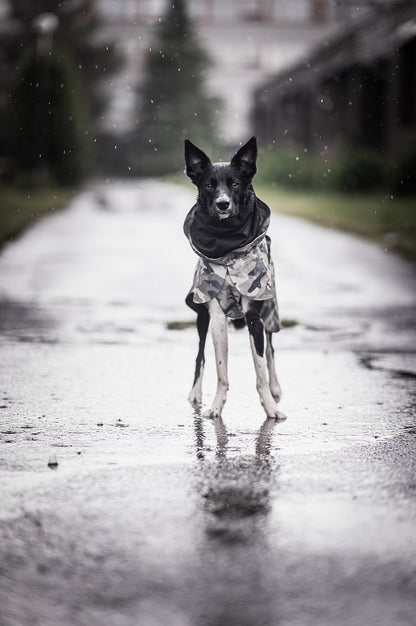 PAIKKA Recovery Raincoat koiran sadetakki, camo