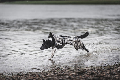 PAIKKA Recovery Raincoat koiran sadetakki, camo