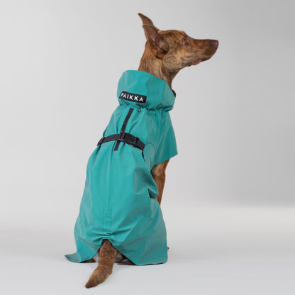 PAIKKA Visibility Raincoat koiran sadetakki, emerald