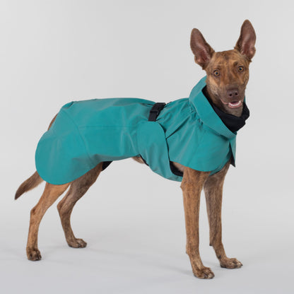 PAIKKA Visibility Raincoat koiran sadetakki, emerald