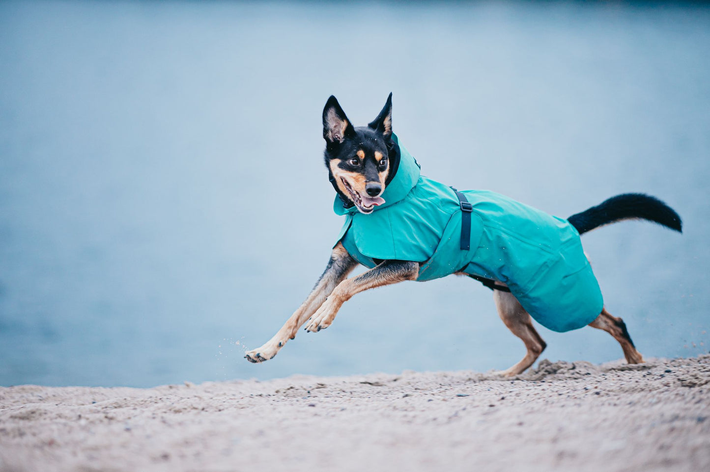 PAIKKA Visibility Raincoat koiran sadetakki, emerald